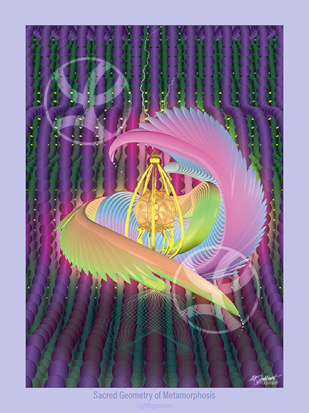 Metamorphosis_img3_card